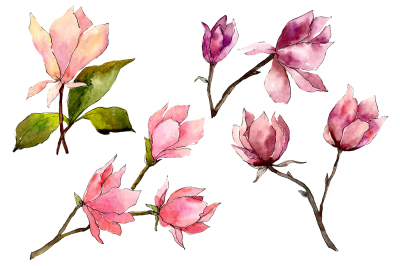 Tender pink magnolia PNG watercolor set