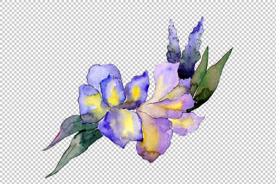 Bouquet flower composition PNG watercolor set
