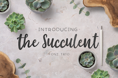 The succulent - font trio!