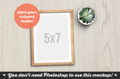 Non Photoshop Mockup Frame with Succulent