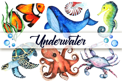 Watercolor set of sea animals