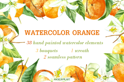 watercolor orange fruit set