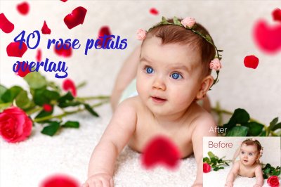 40 rose petals Photo Overlays in PNG, Photography