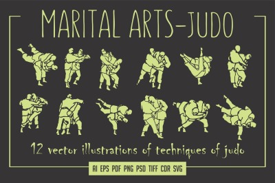 12 vector Judo poses