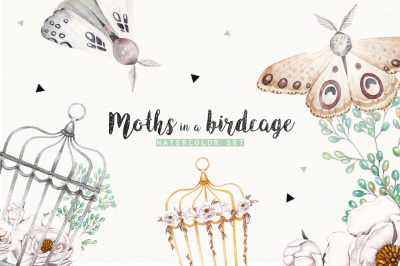 MOTHS and BIRDCAGE watercolor set