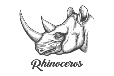 Head of Rhinoceros drawn in engraving style. Vector illustration