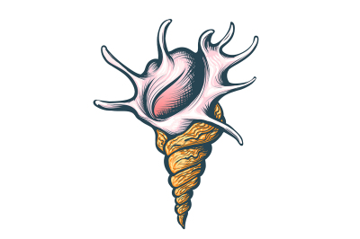 Hand drawn Seashell on white background. Vector illustration