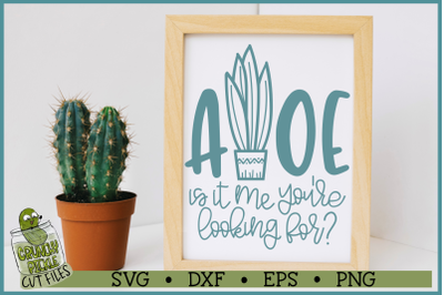 Aloe Is It Me You&#039;re Looking For SVG