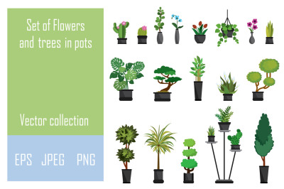 Trees and blooming flowers in pots