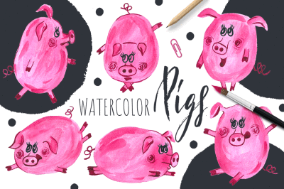 Funny Watercolor Pigs