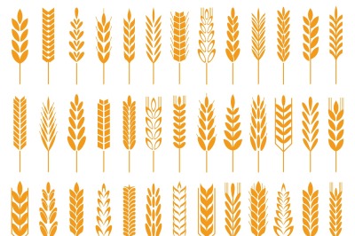 Wheat grain icons. Wheats bread logo, farm grains and rye stalk symbol