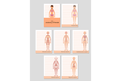 Notepad for A6 format records. Anatomy of the female body