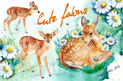 Cute Fawns. Watercolor