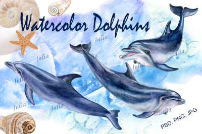 Watercolor dolphins