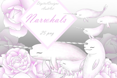 Narwhals clipart