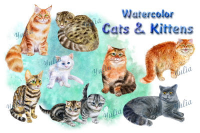 Cats and Kittens. Watercolor