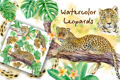 Watercolor Leopards. Wild cats