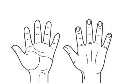 Vector hands illustration in black and white