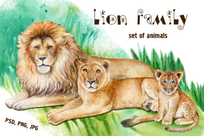 Lion Family. Watercolor