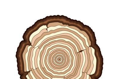 Vector brown tree rings cut trunk isolated white