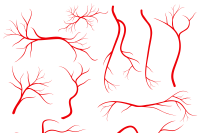 Human eye veins, vessel, blood arteries isolated on white vector set