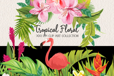 Tropical Floral Plants & Frames Set