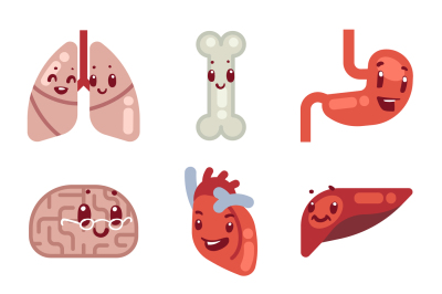 Cute cartoon internal organs vector icons