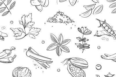 Fresh herbs and spices doodle hand drawn vector seamless pattern