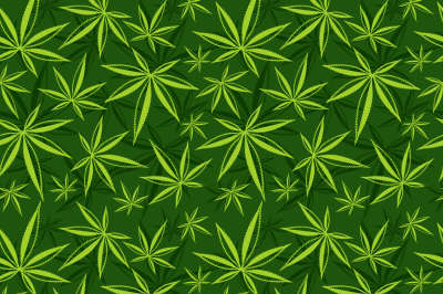 Cannabis, weed, marijuana leaves vector seamless pattern