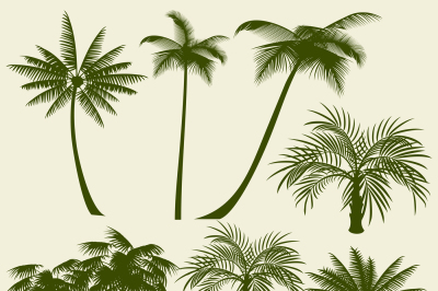 Summer holiday palm tree vector silhouettes