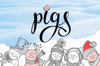 Winter pigs