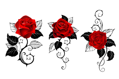 Three Red Roses for Tattoo