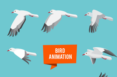 Key frames of animation flying bird