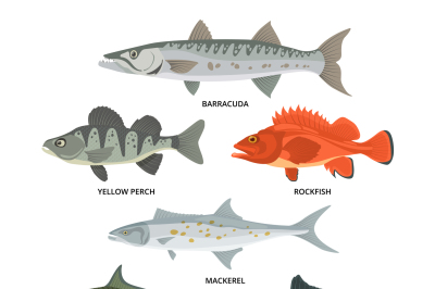 Cartoon illustrations of freshwater and ocean fishes