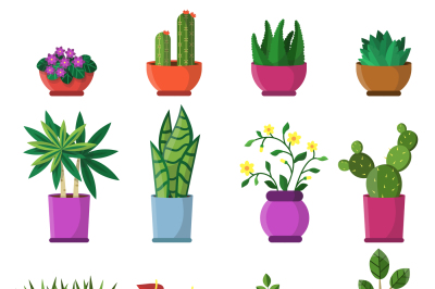 House plants in pots. vector illustrations in flat style