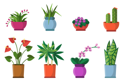 Vector illustrations of house plants in pots