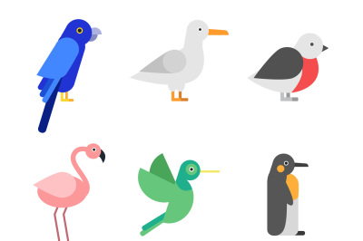 Exotic birds in flat style. Stylized pictures set