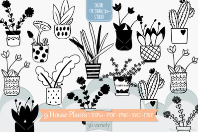 House Plants | Hand Drawn Cactus in Flower Pot | Hanging Indoor Plant