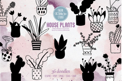 House Plants | Hand Drawn Cactus in Flower Pot | Hanging Indoor Plant