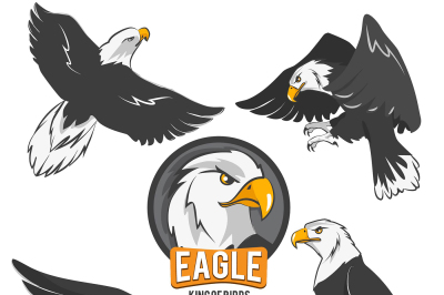 Set of cartoon eagles in different action poses