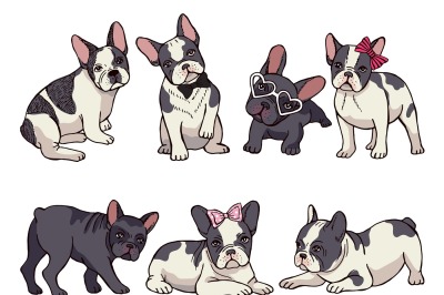 Illustrations set of cute little French bulldog. Funny pictures of pup