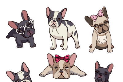 Funny puppies of french bulldog