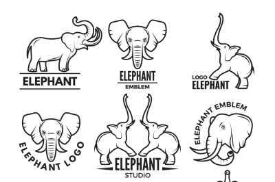 Logo templates with pictures of african elephant