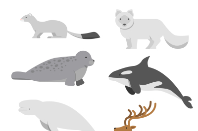 Northern and arctic animals. Vector illustrations in flat style