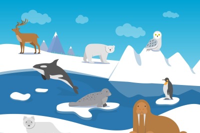 Arctic landscape with different polar animals