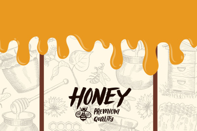 Vector background with sketched honey elements