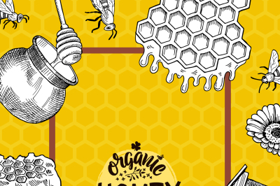 Vector illustration or flyer template with hand drawn honey elements f