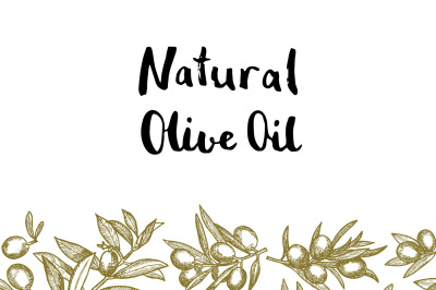 Vector hand drawn olive branches background