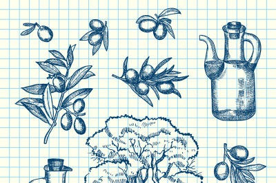 Vector hand drawn olive branches, bottles and tree on cell sheet