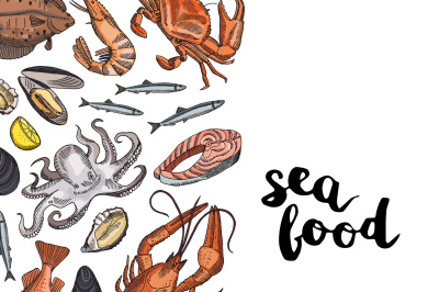 Vector background illustration with hand drawn colored seafood element